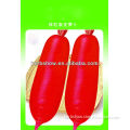 Red Radish Seeds For Cultivation